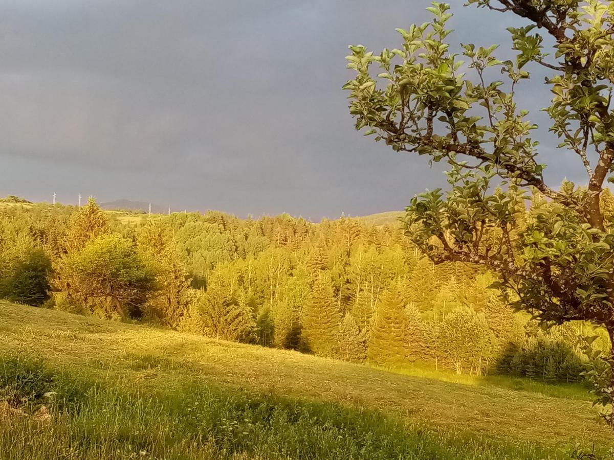 Vila Trtovic Nova Varoš Exteriér fotografie