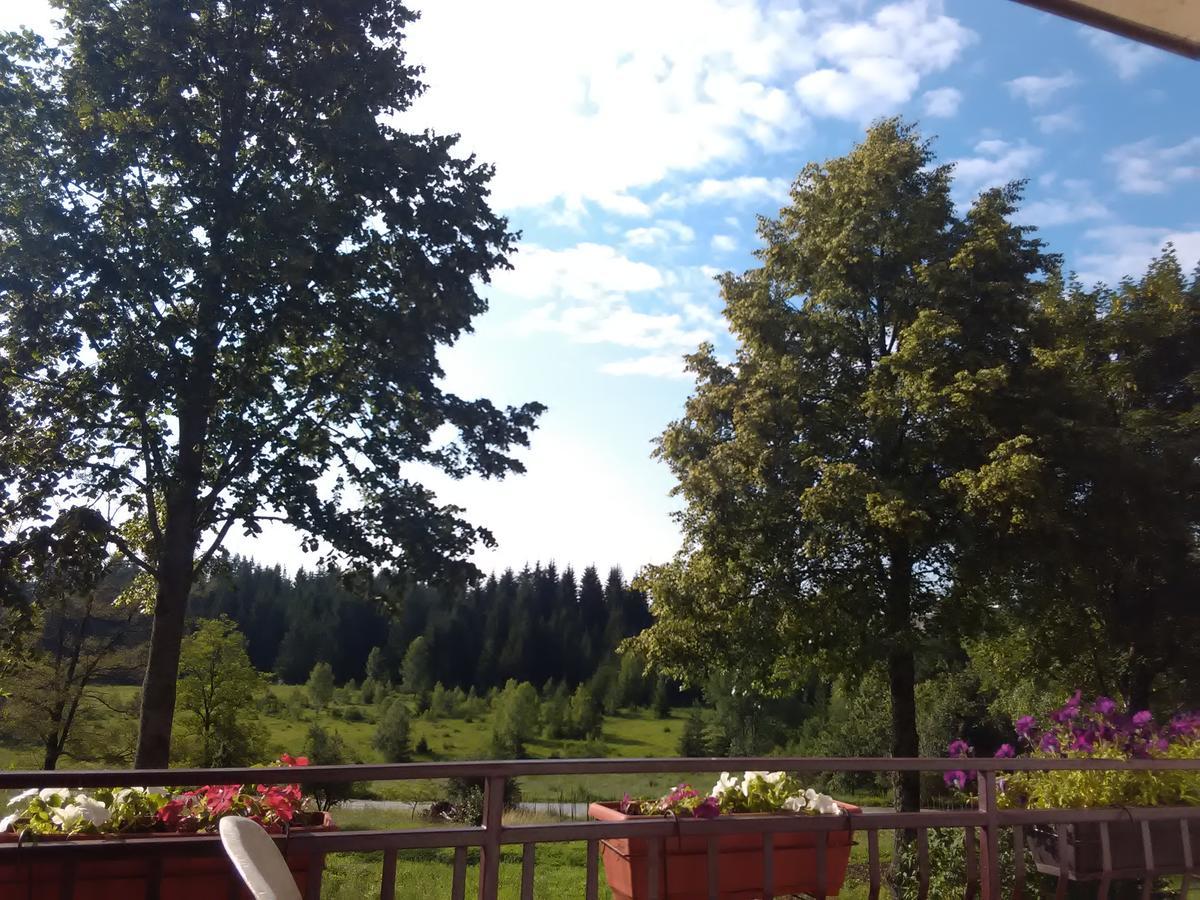 Vila Trtovic Nova Varoš Exteriér fotografie