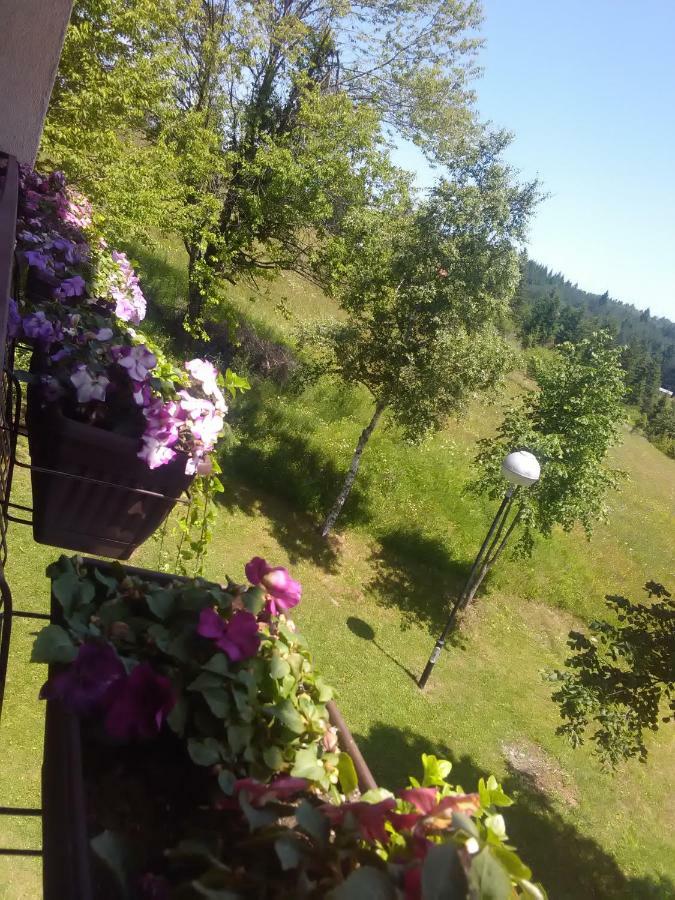 Vila Trtovic Nova Varoš Exteriér fotografie
